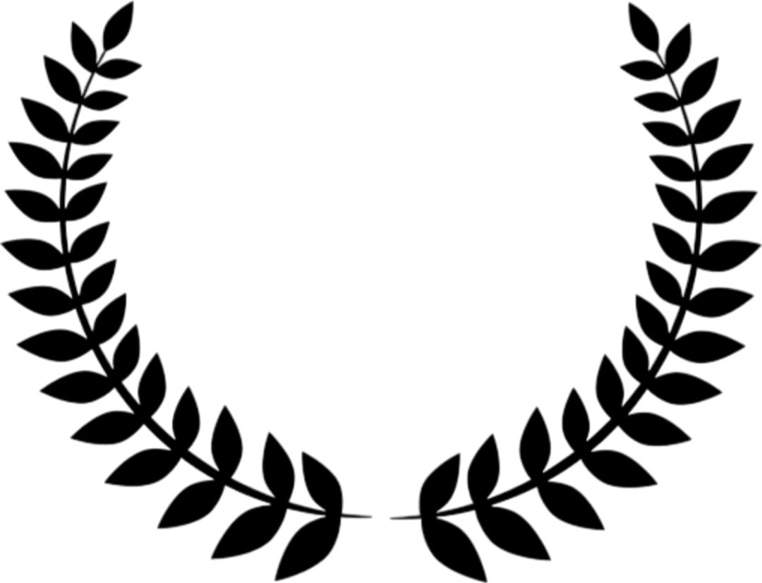feature-item-2